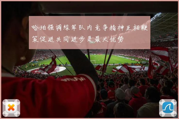 哈珀强调绿军队内竞争精神互相鞭策促进共同进步是最大优势